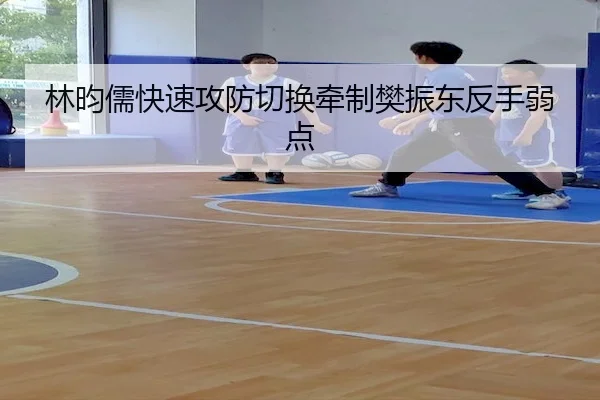 lin-yun-ru-kuai-su-gong-fang-qie-huan-qian-zhi-fan-zhen-dong-fan-shou-ruo-dian-2-839.jpg